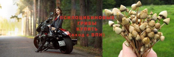 кокаин перу Беломорск